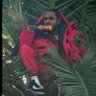 🍁 bio-degradable's profile picture