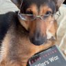 Profilbild von Joe John