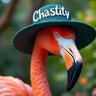 ChastityElizabeth🇺🇲 profil fotoğrafı