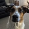 Peter's profile picture
