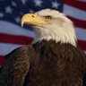 AmericanStrong88 的头像