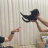 berat 的头像