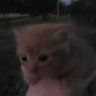 SpookY's profile picture