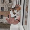 Profilbild von Al capone