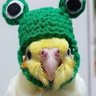 fel's profile picture