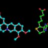 Berberine&Biotin's profile picture