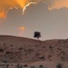 ابراهيم بن سعود profil fotoğrafı