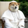 Фото профиля Pope NAFO🇺🇸🇪🇺🇺🇦🇹🇼🇬🇪