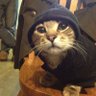 Profilbild von Angus