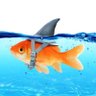 Фото профиля Fish in shark’s clothing