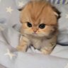Angel's profile picture