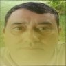 Olívio Corrêa de Mello profil fotoğrafı