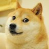 XavLaysChips 的头像