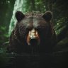 bear witness 的头像
