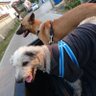Finn's profile picture
