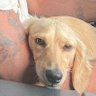 Emily Allen's profile picture