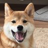 よしおき profil fotoğrafı