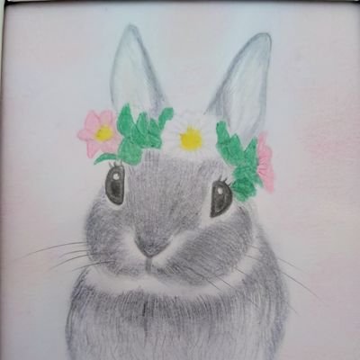 star's profile picture