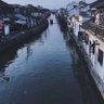 阿西吧 的头像