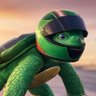 Turttle Sprint profil fotoğrafı