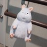ひゅうがまる 的头像