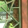 你的所作所为配得上我极致的嘴臭（对轰版） profil fotoğrafı