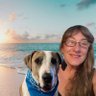 Jo Frazer profil fotoğrafı