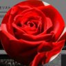 あや's profile picture