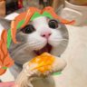 う's profile picture