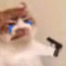 Profilbild von Kel