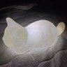 コモドリンク profil fotoğrafı