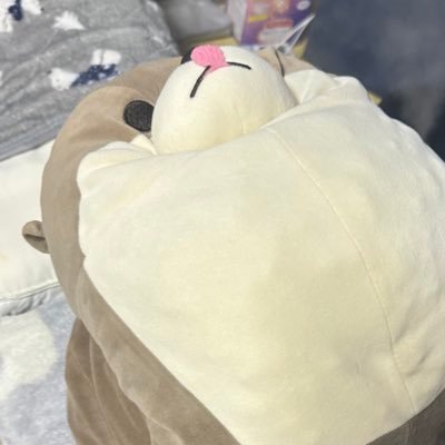しおん☺︎🐻❄️1 Ɏ🦖's profile picture