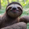 チッチ's profile picture