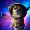 Фото профиля spacedog
