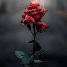 saud78781010's profile picture
