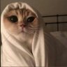 Profilbild von Fatma🦪