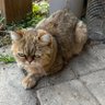Фото профиля Romeo