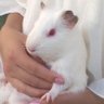 Profilbild von りーよう