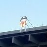 Jaume VCF 🦇 的头像