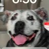 Profilbild von Elaine