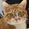 Profilbild von 晨鱼鱼