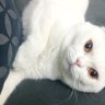 duygulandınız profil fotoğrafı