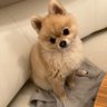 シャッター専業！ピン稼働！ランクル250をシャッターで手にした男 profil fotoğrafı