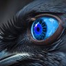 Profilbild von Quoth the Raven