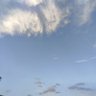 海边的野风 的头像