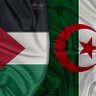 Profilbild von أمة واحدة