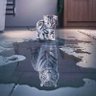 Фото профиля Maximilien O'SHEA🍀