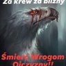 Profilbild von Darek z osiedla 💯🇵🇱