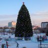 Фото профиля мэр ледового городка