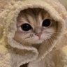 Profilbild von DevesH_